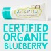 Jack n' Jill Natural Toothpaste - Blueberry