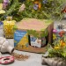 Kabloom Birds, Bees & Butterflies Seedbom Gift Set - 4 Pack