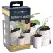 Eco Plant Pot Maker