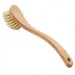 Wooden Dish Brush with Plant Bristles