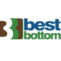 Best Bottom Diapers