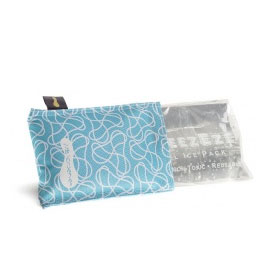 Reusable Ice Packs