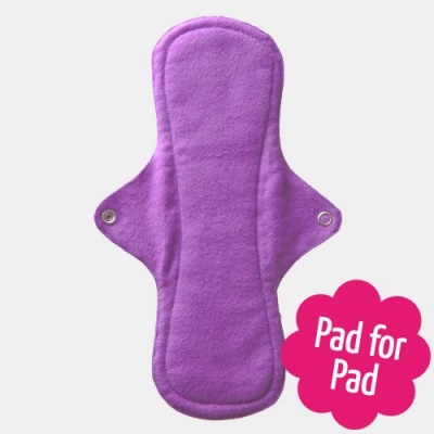 Eco Femme Day Pad Plus