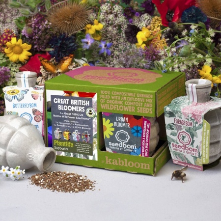 Kabloom Great British Bloomers Seedbom Gift Set - 4 Pack