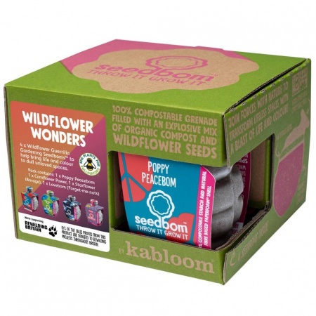 Kabloom Wildflower Wonders Seedbom Gift Set - 4 Pack