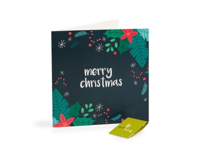 Recycled Christmas Cards - Plant Berries